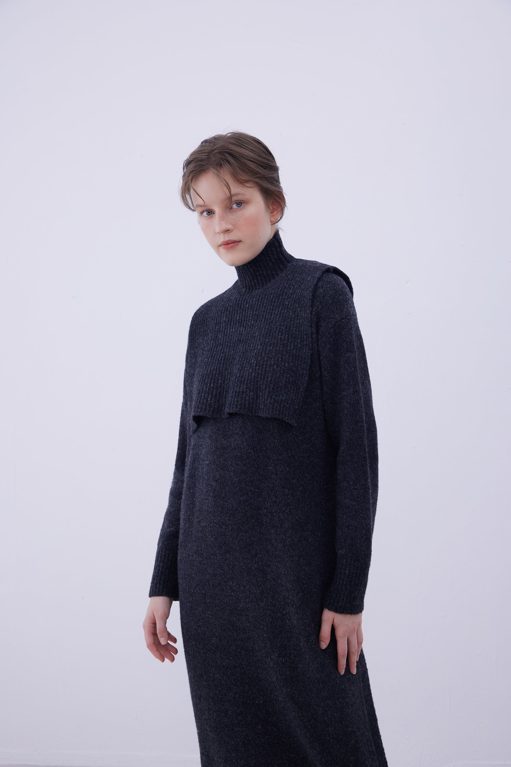 Detachable turtleneck collar dress