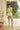 Bubble hem puff shorts